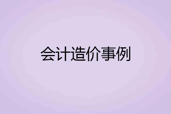 会计造价事例