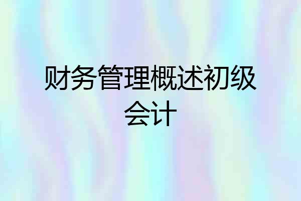 财务管理概述初级会计