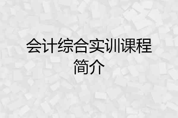 会计综合实训课程简介