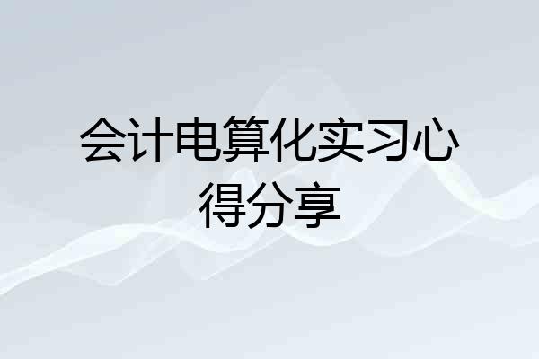 会计电算化实习心得分享