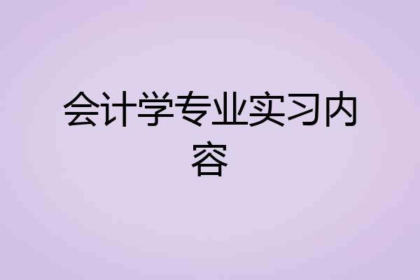 会计学专业实习内容