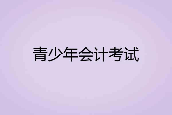 青少年会计考试
