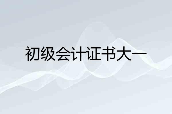 初级会计证书大一