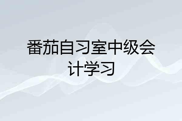 番茄自习室中级会计学习
