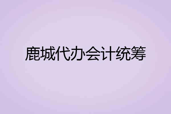 鹿城代办会计统筹