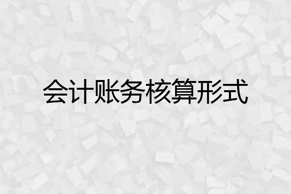 会计账务核算形式