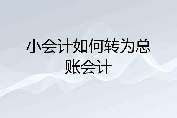 小会计如何转为总账会计