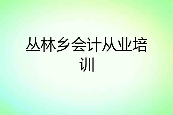 丛林乡会计从业培训