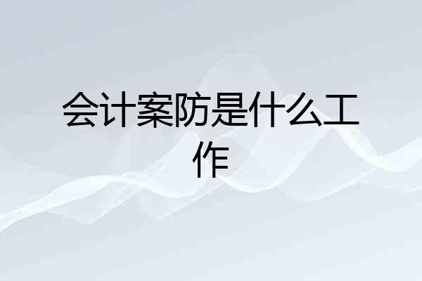 会计案防是什么工作