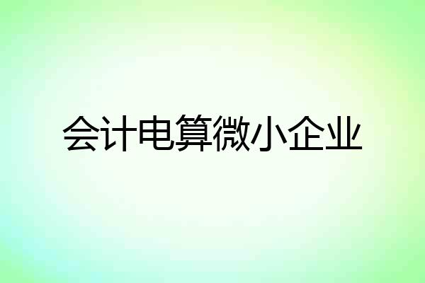 会计电算微小企业