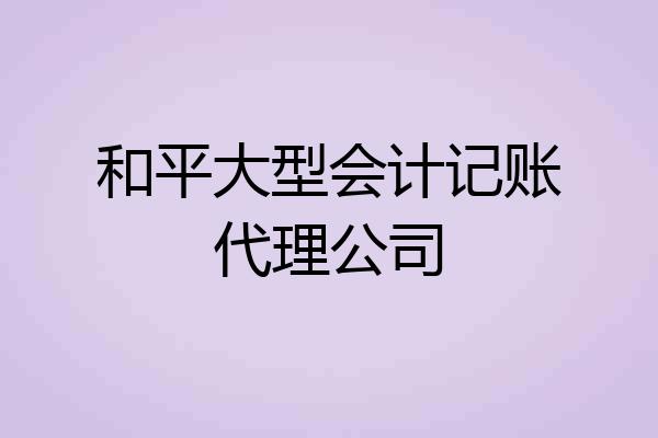 和平大型会计记账代理公司