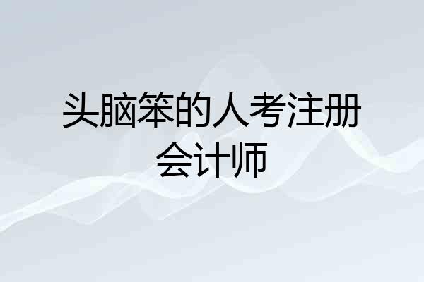 头脑笨的人考注册会计师