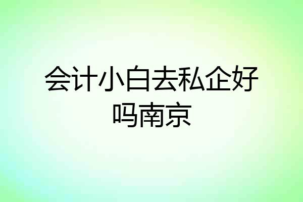会计小白去私企好吗南京