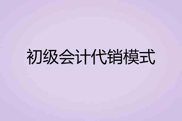 初级会计代销模式