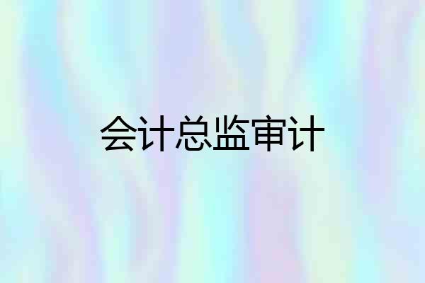 会计总监审计