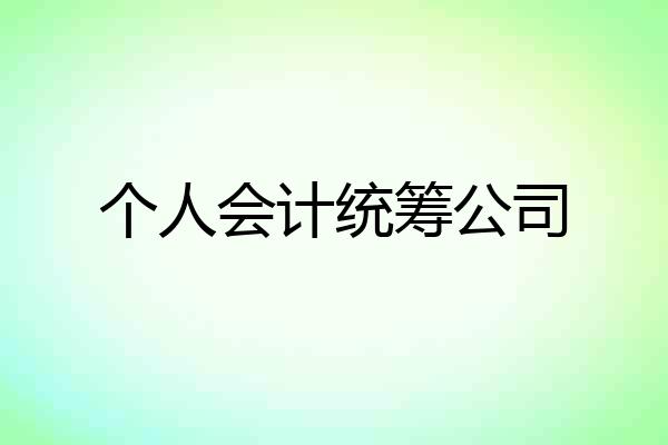 个人会计统筹公司