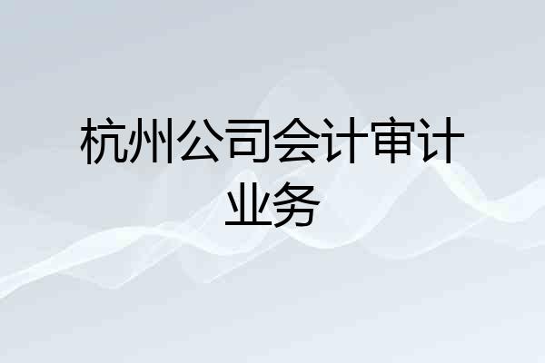 杭州公司会计审计业务
