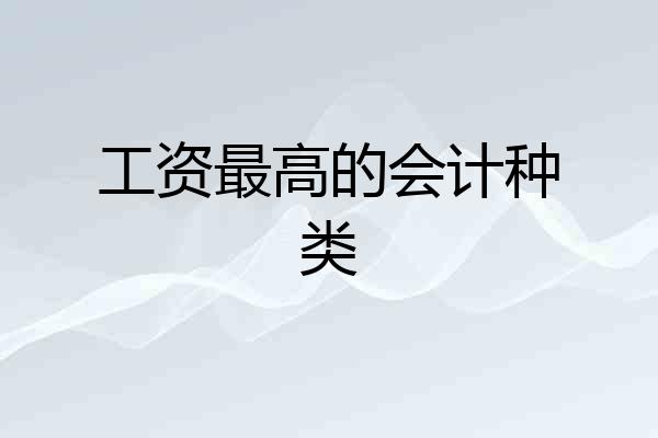 工资最高的会计种类