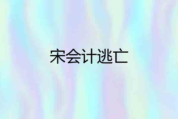 宋会计逃亡