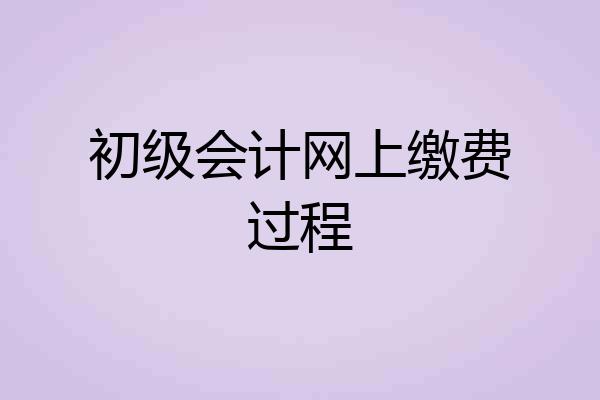 初级会计网上缴费过程
