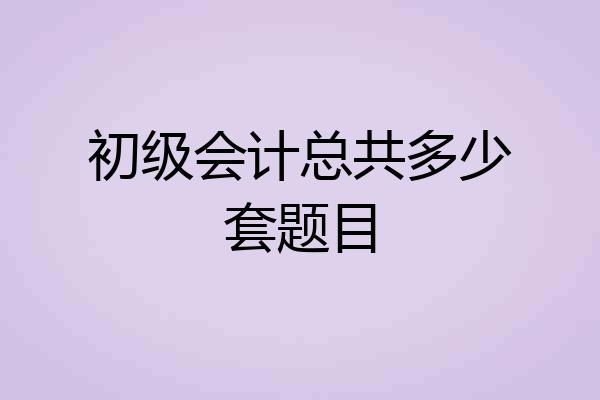 初级会计总共多少套题目