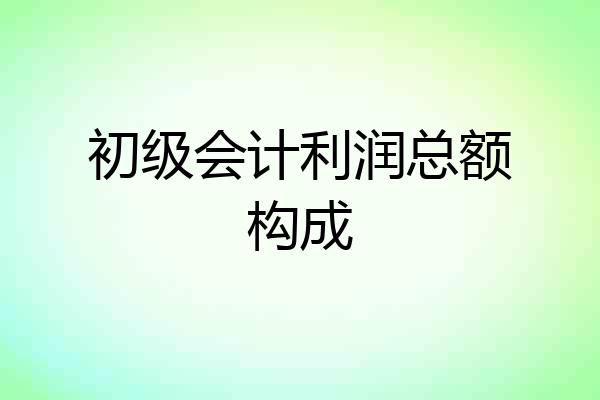 初级会计利润总额构成
