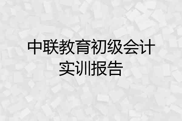 中联教育初级会计实训报告