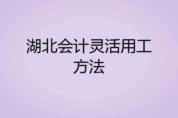 湖北会计灵活用工方法