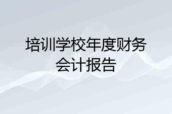 培训学校年度财务会计报告