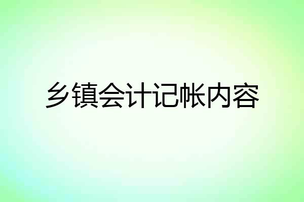 乡镇会计记帐内容