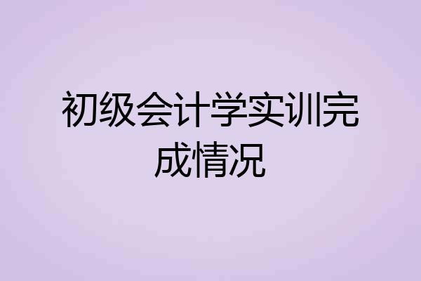 初级会计学实训完成情况