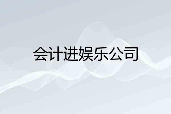 会计进娱乐公司