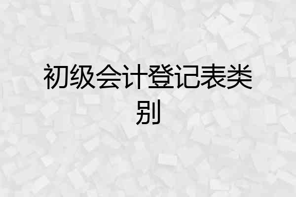 初级会计登记表类别
