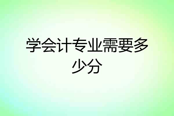 学会计专业需要多少分