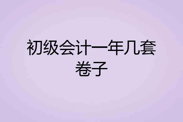 初级会计一年几套卷子