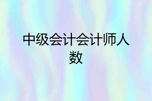 中级会计会计师人数