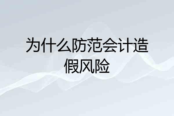 为什么防范会计造假风险