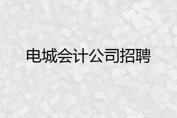 电城会计公司招聘