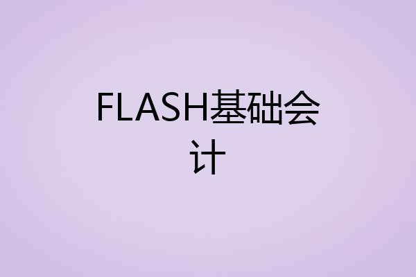 FLASH基础会计