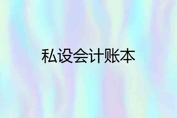 私设会计账本