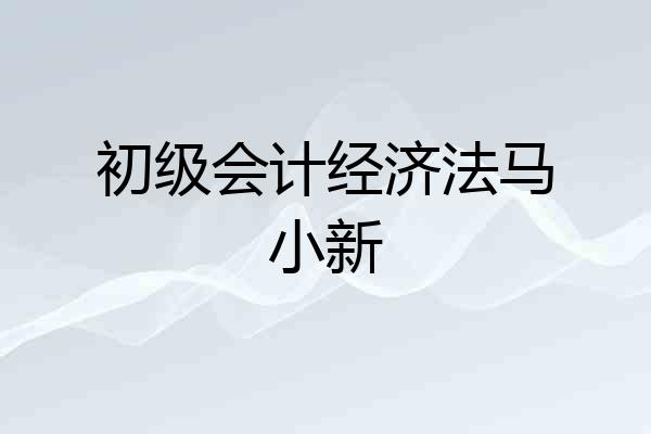 初级会计经济法马小新