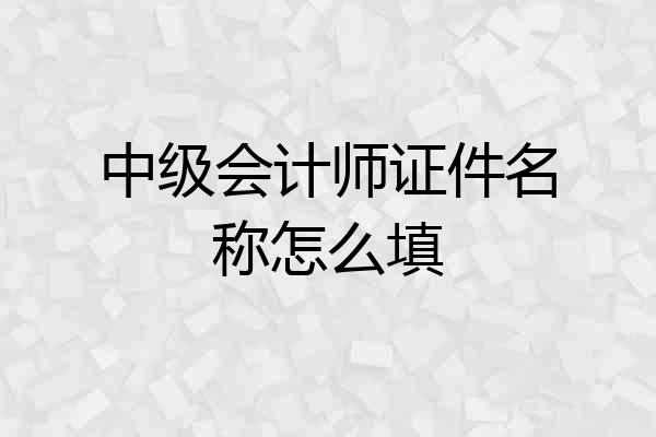 中级会计师证件名称怎么填