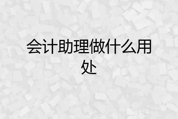 会计助理做什么用处
