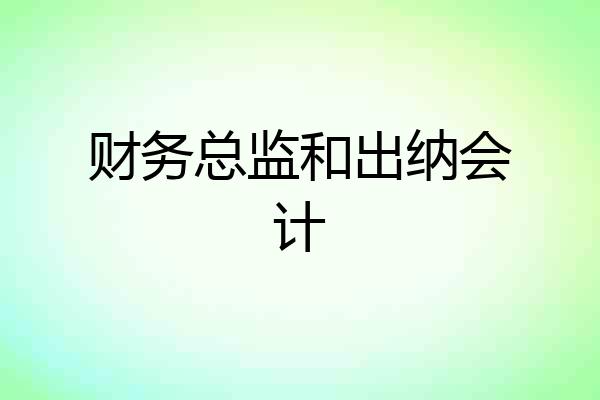 财务总监和出纳会计