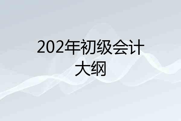 202年初级会计大纲