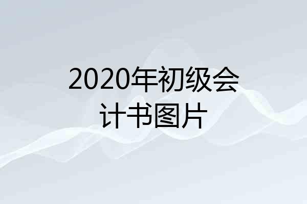 2020年初级会计书图片