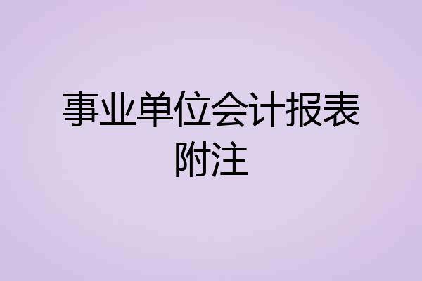 事业单位会计报表附注