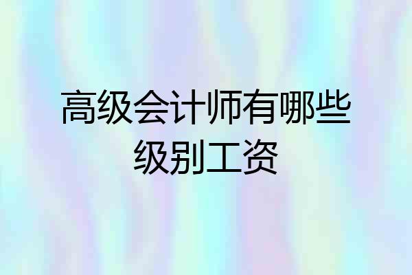 高级会计师有哪些级别工资