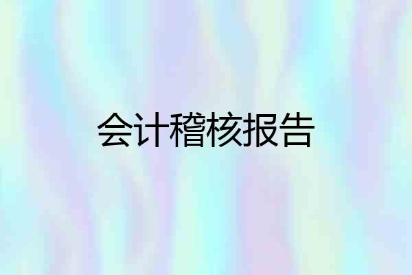 会计稽核报告