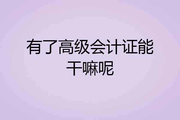 有了高级会计证能干嘛呢